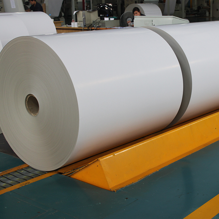 Close-up of the smooth, PE-coated surface of the cup stock