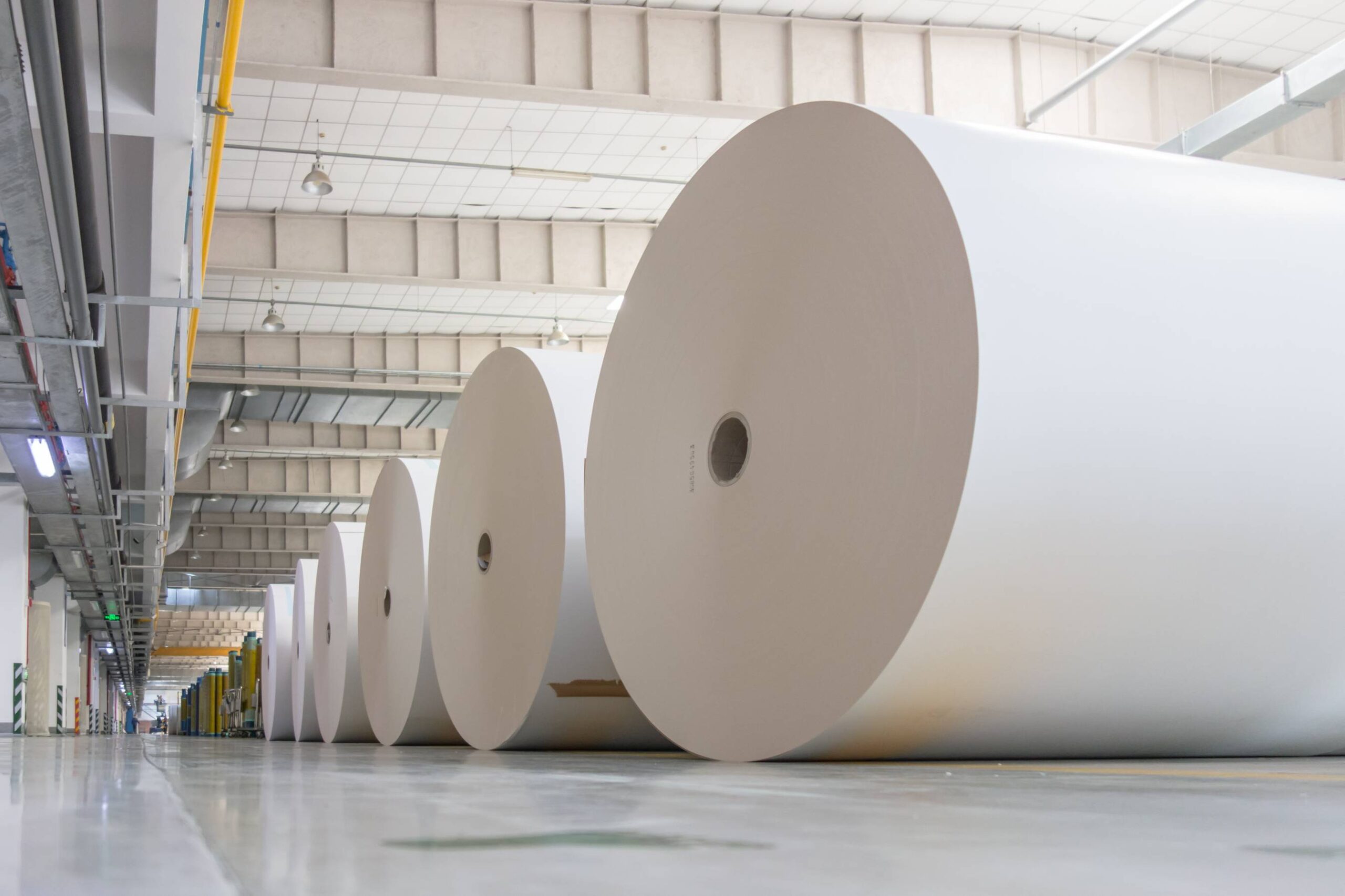 Large rolls of prime newsprint paper in a warehouse